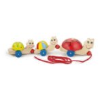 Trageți testoasa cu unelte