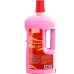 DETERGENT PENTRU GRESIE SI FAIANTA CERAMIX 1000 ML