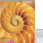 CAIET 60F PROSTAND COPERTA COLOR TPR 60