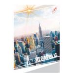 CARNET P/U NOTITE, COPERTA TARE 48F ЗВ-28 BRISC