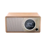 Radio portabil Sharp DR-450BRV03, Maro