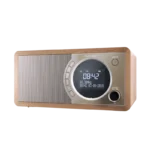 Radio portabil Sharp DR-450BRV03, Maro - Image 2