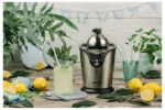 Storcător de citrice Gorenje Citruseta CJ100HE, Oțel inoxidabil - imagine 4