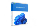 WIN PRO FPP 11 64BIT ENG INTL NON-E - imagine 2