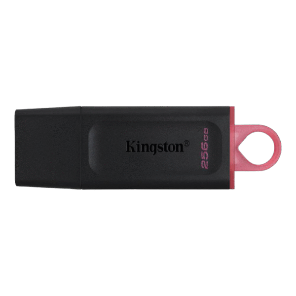 Memorie USB Kingston DataTraveler Exodia, 256GB, Negru