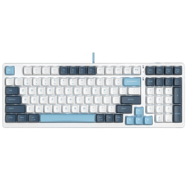 Tastatură A4Tech FS300, Cu fir, Panda Snowboarding