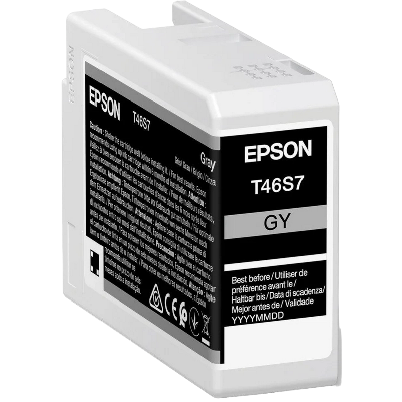 4c211624-e66c-4502-a801-957e468dd61e Cartuș de cerneală Epson T46S UltraChrome Pro 10, 25ml, Gri - Image 1
