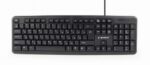 Tastatură Gembird KB-U-103-RU, Cu fir, Negru - imagine 8