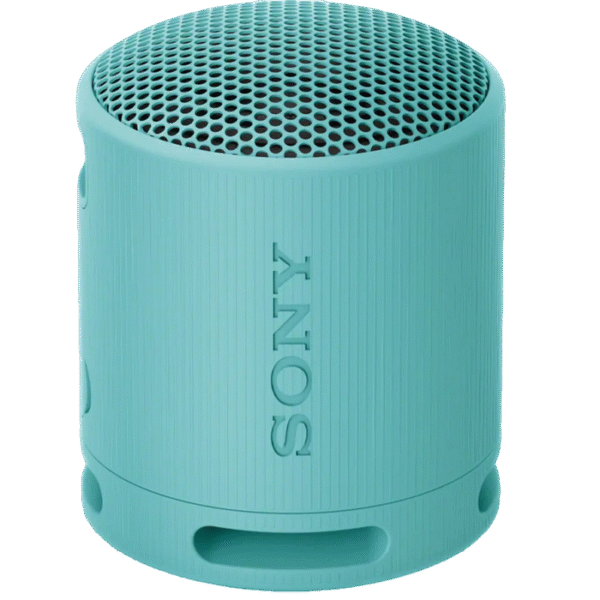 Boxă portabilă SONY XB100, Gri deschis