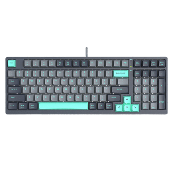 Tastatură A4Tech FS300, Cu fir, Panda Rock Climbing